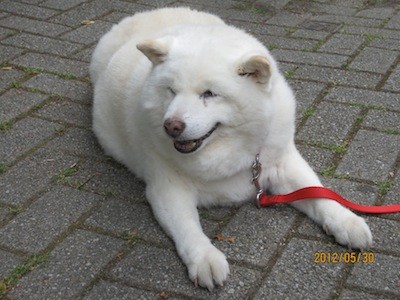 f:id:akamac:20120530153352j:image