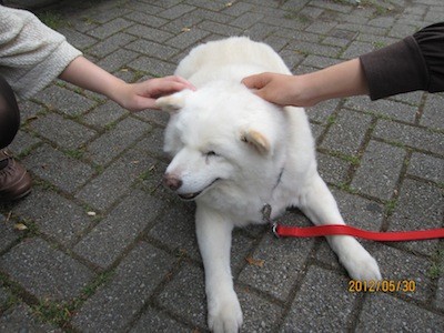 f:id:akamac:20120530153605j:image