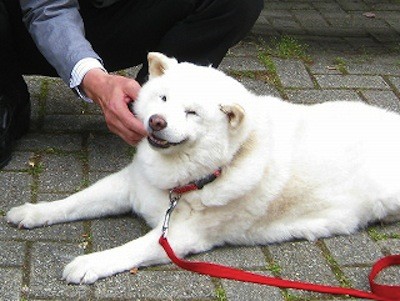 f:id:akamac:20120530225523j:image