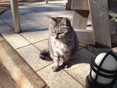 f:id:akamac:20131212132811j:image