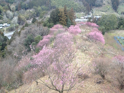 f:id:akamac:20150221151505j:image