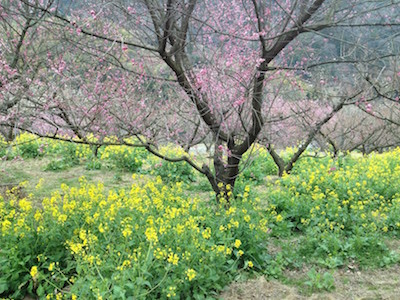 f:id:akamac:20150221152322j:image