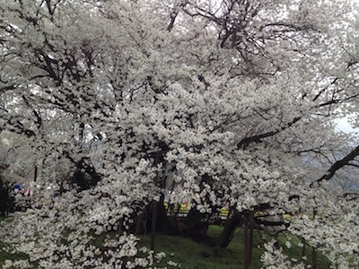 f:id:akamac:20150403144838j:image