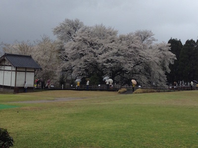f:id:akamac:20150403151436j:image