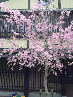 f:id:akamac:20150404162100j:image