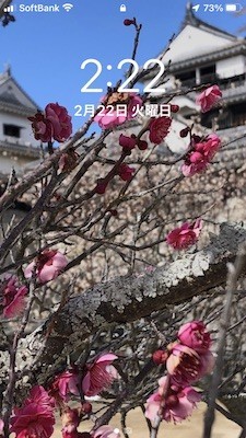 f:id:akamac:20220222142217j:plain