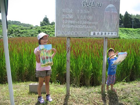 f:id:akamai2017:20170126160657j:plain f:id:akamai2017:20170126160657j:plain