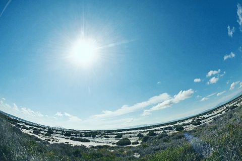 f:id:akamomotaro:20190325230020j:plain