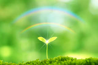 f:id:akamomotaro:20190328135316j:plain