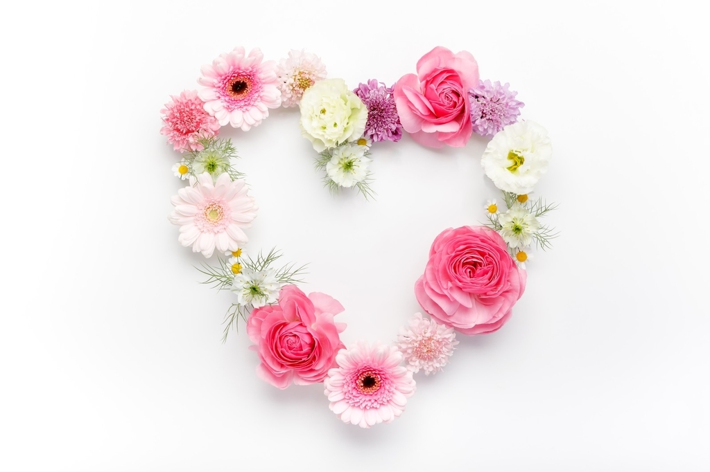 f:id:akamouhu:20190310105446j:plain