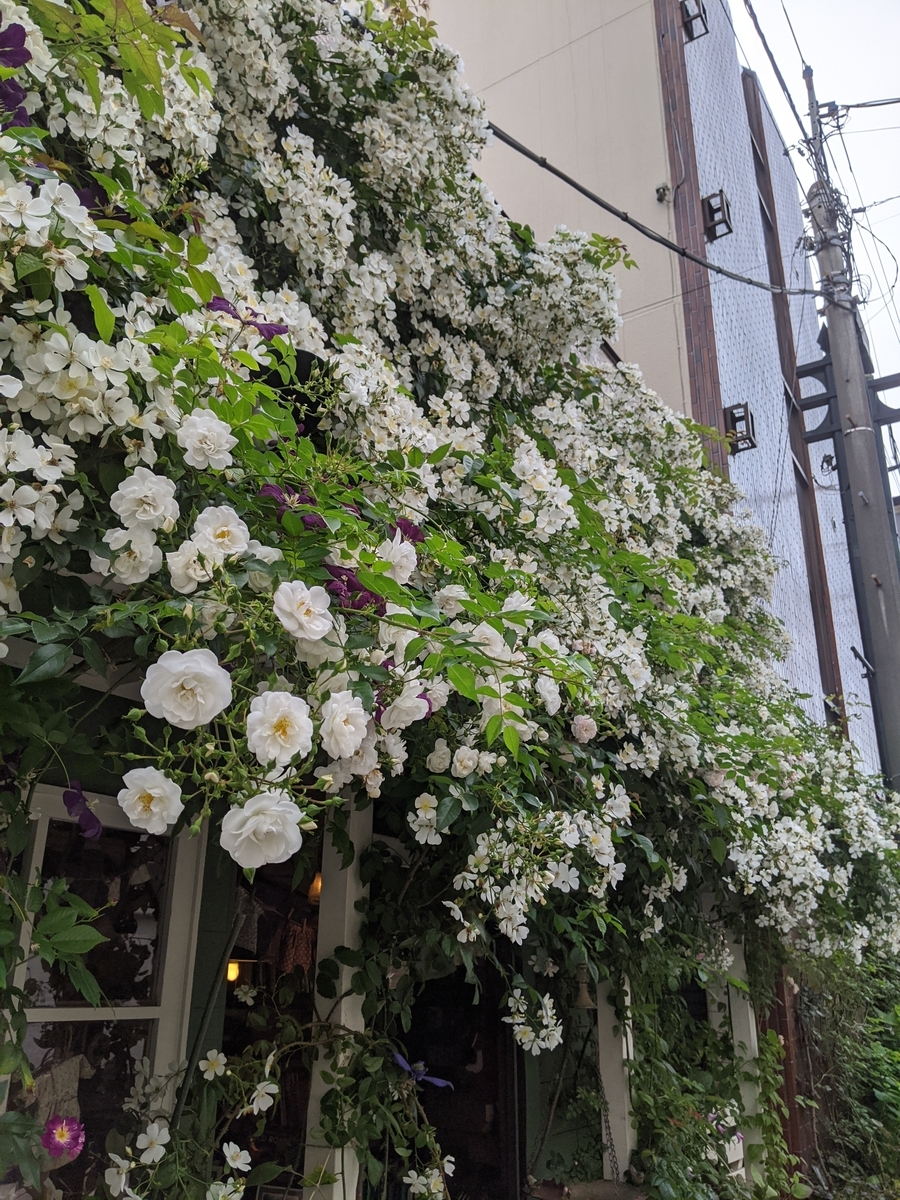 f:id:akanama:20200601141024j:plain