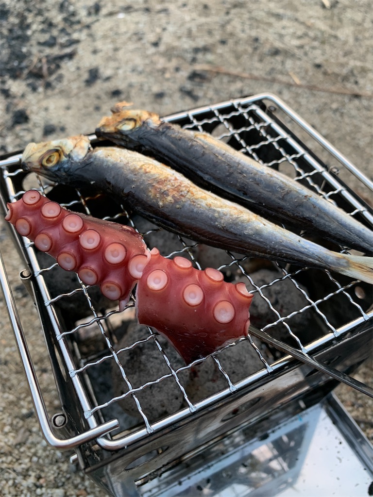 f:id:akanameko:20210323231558j:image
