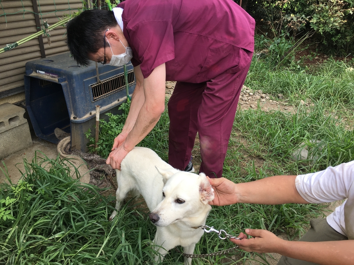 花子と先生の１８年 特別編 Bsフジ 放送のお知らせ 山田あかねの一喜一憂日記