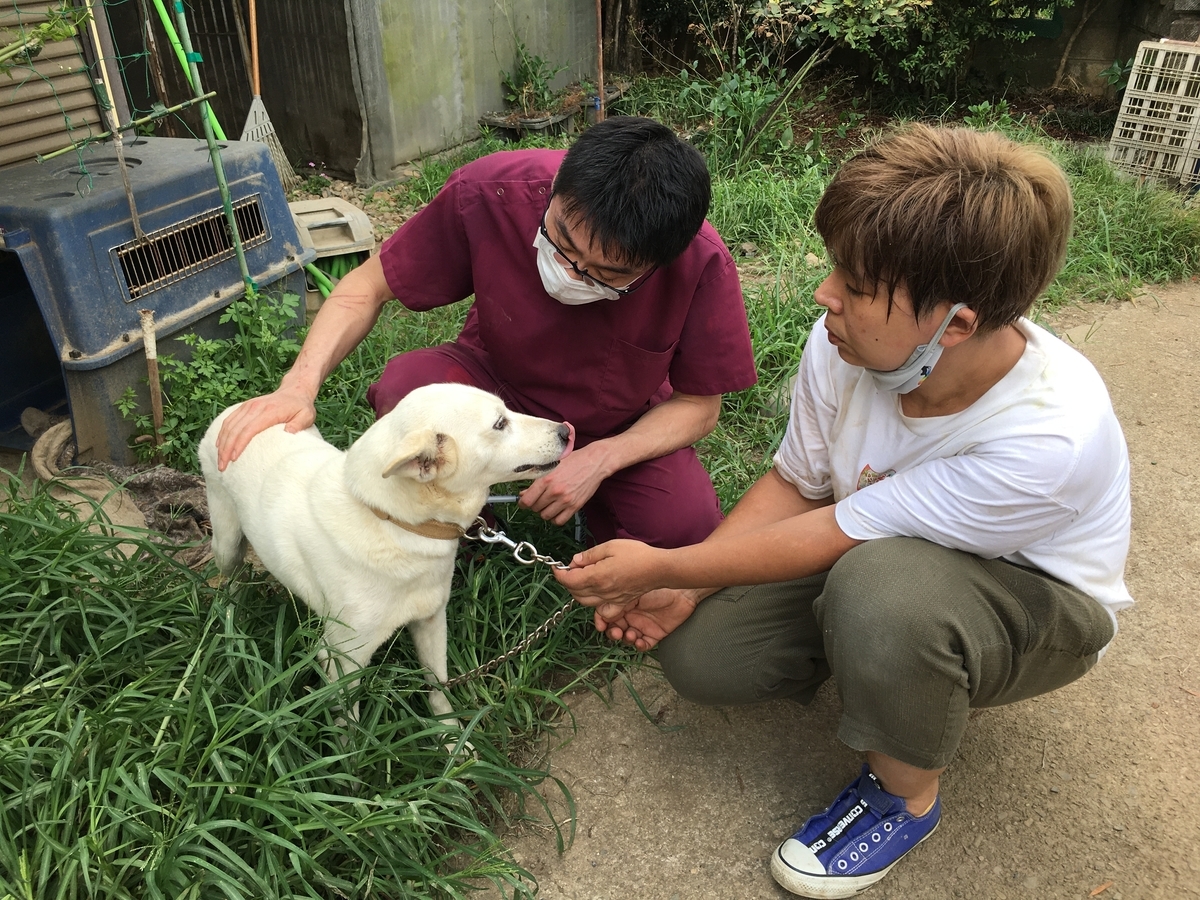 「花子と先生の18年 特別編」（bsフジ）放送のお知らせ 山田あかねの一喜一憂日記