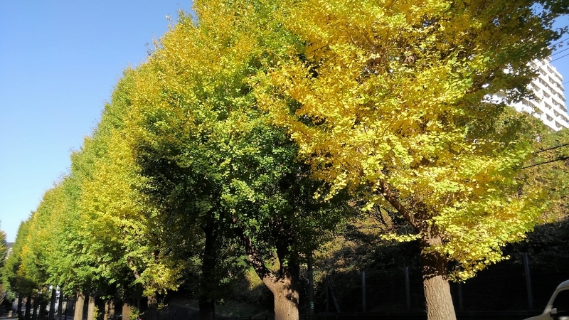 f:id:akane2020:20201114173406j:plain