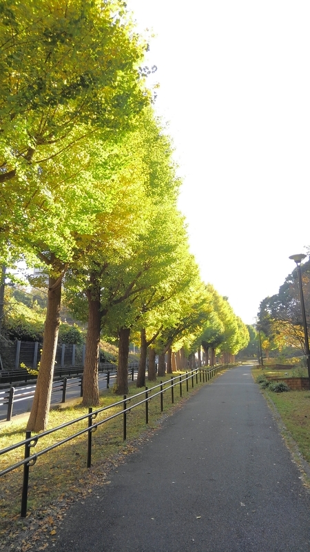 f:id:akane2020:20201114173814j:plain