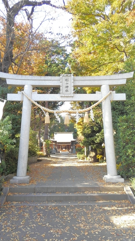 f:id:akane2020:20201114191354j:plain