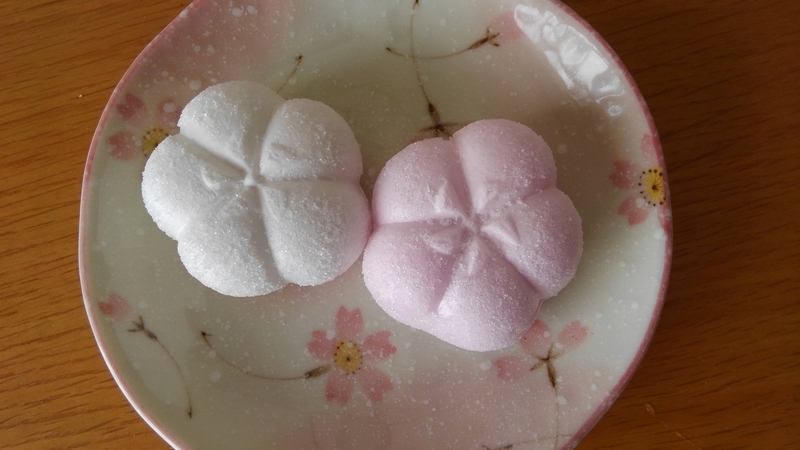 f:id:akane2020:20210102154835j:plain