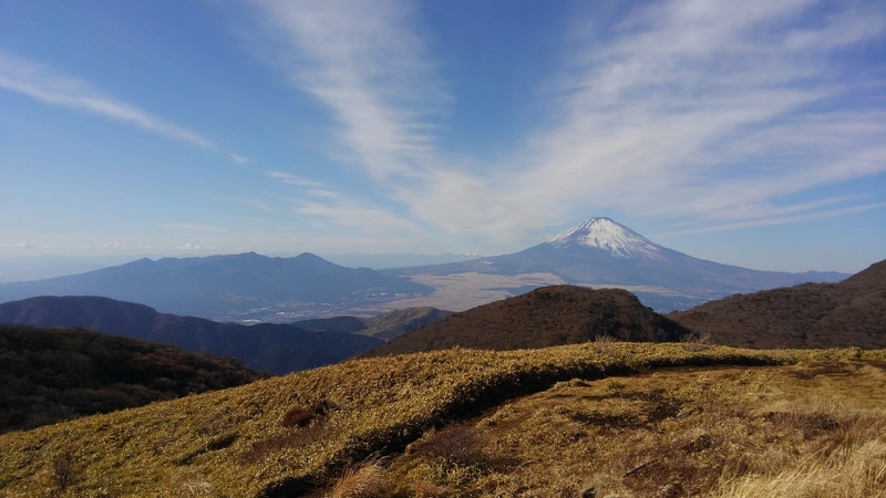 f:id:akane2020:20210116212741j:plain