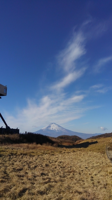 f:id:akane2020:20210116215905j:plain