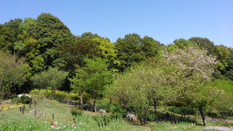 f:id:akane2020:20210410172131j:plain