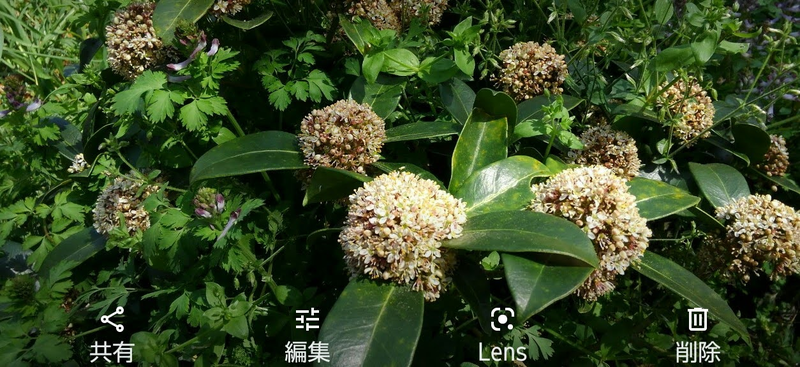 f:id:akane2020:20210411181419p:plain
