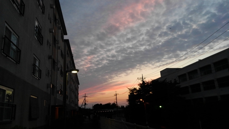 f:id:akane2020:20210621213304j:plain