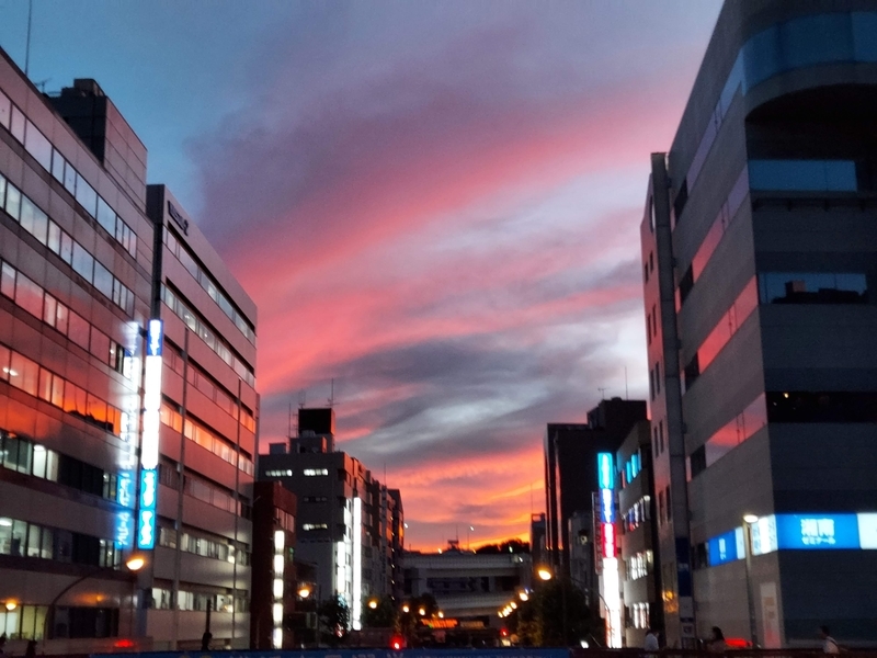 f:id:akane2020:20210806220816j:plain
