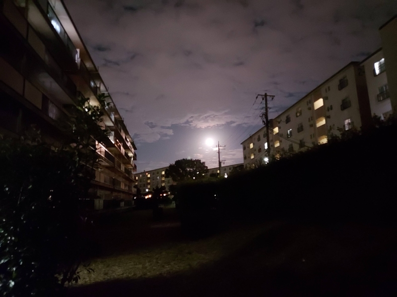 f:id:akane2020:20210921205613j:plain