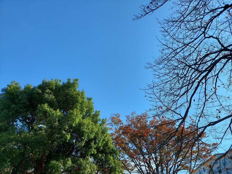 f:id:akane2020:20211103101229j:plain