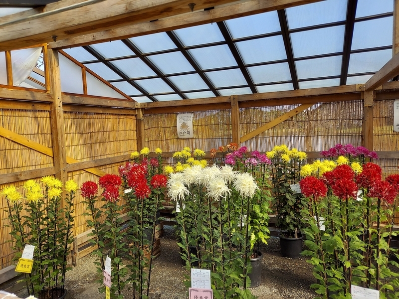 f:id:akane2020:20211120154556j:plain
