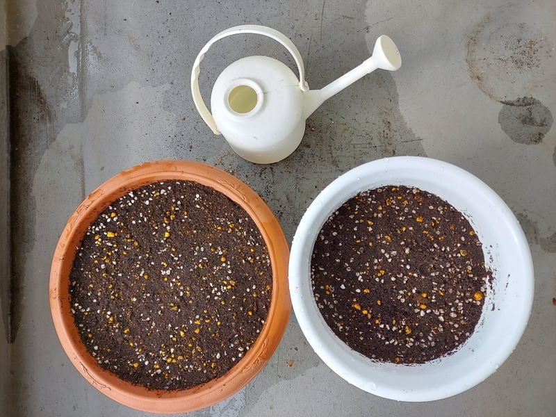 f:id:akane2020:20211123143843j:plain