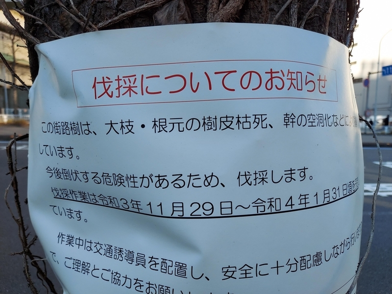 f:id:akane2020:20211202232901j:plain