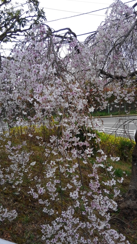 f:id:akane2020:20211202235809j:plain
