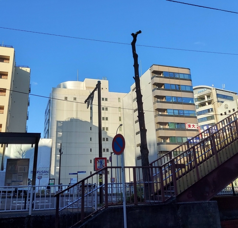f:id:akane2020:20211203202728j:plain
