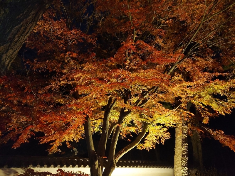 f:id:akane2020:20211204230738j:plain