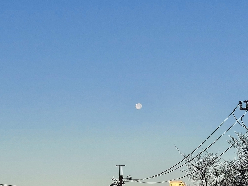 f:id:akane2020:20220120191810j:plain