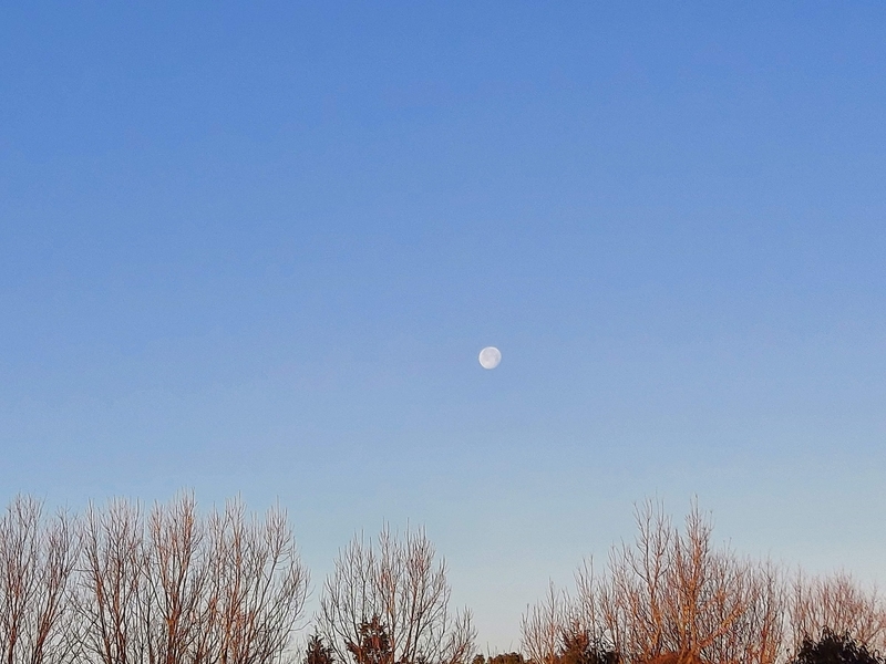 f:id:akane2020:20220121204206j:plain