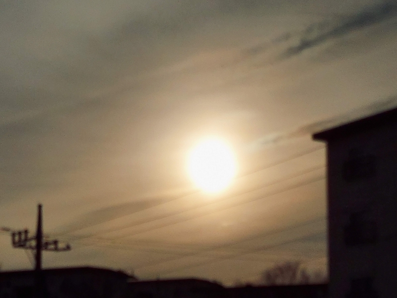 f:id:akane2020:20220123111318j:plain