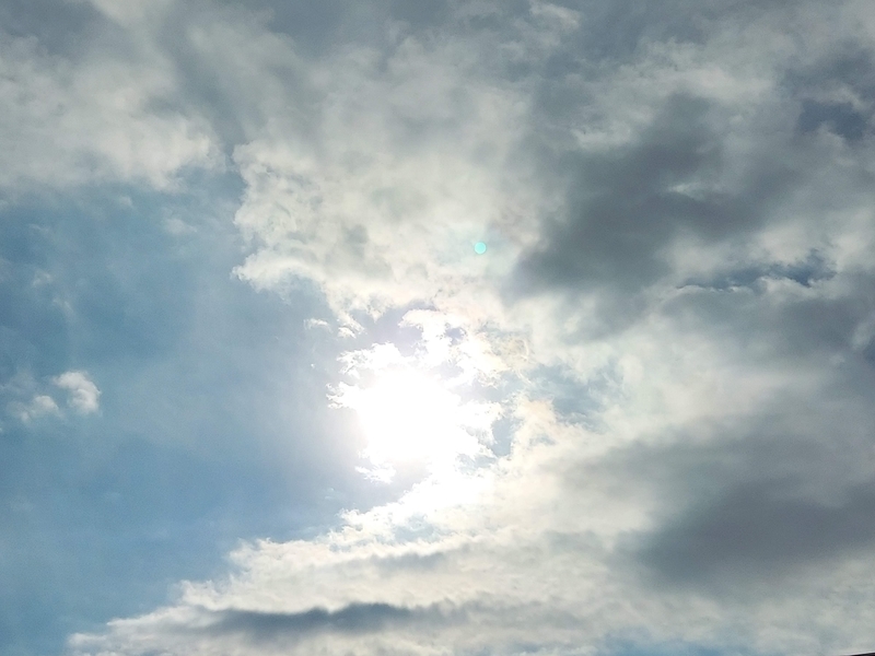 f:id:akane2020:20220129133554j:plain