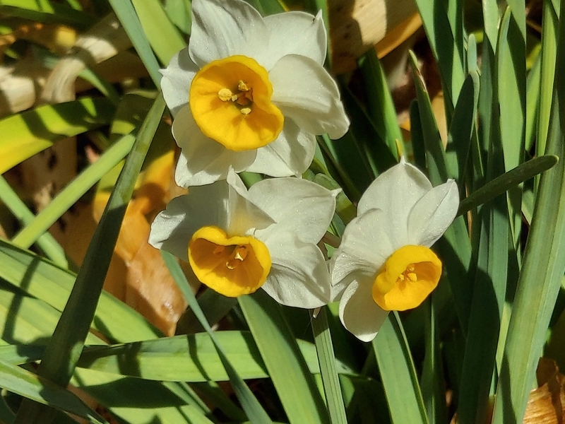 f:id:akane2020:20220205161900j:plain