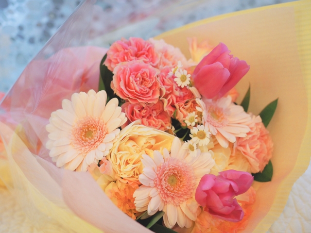 f:id:akane2020:20220218215335j:plain