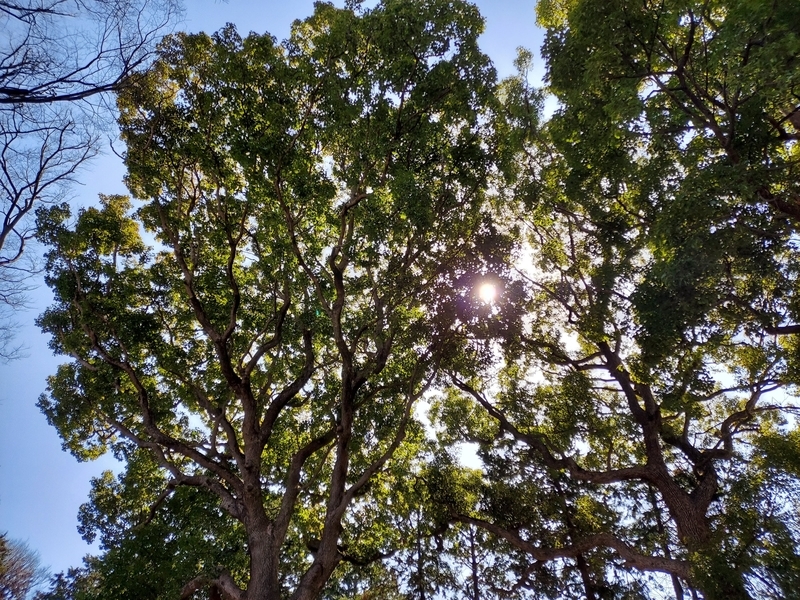 f:id:akane2020:20220305142107j:plain