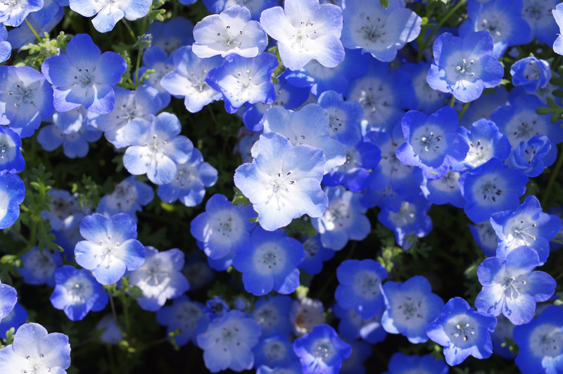 f:id:akane2020:20220306155317j:plain