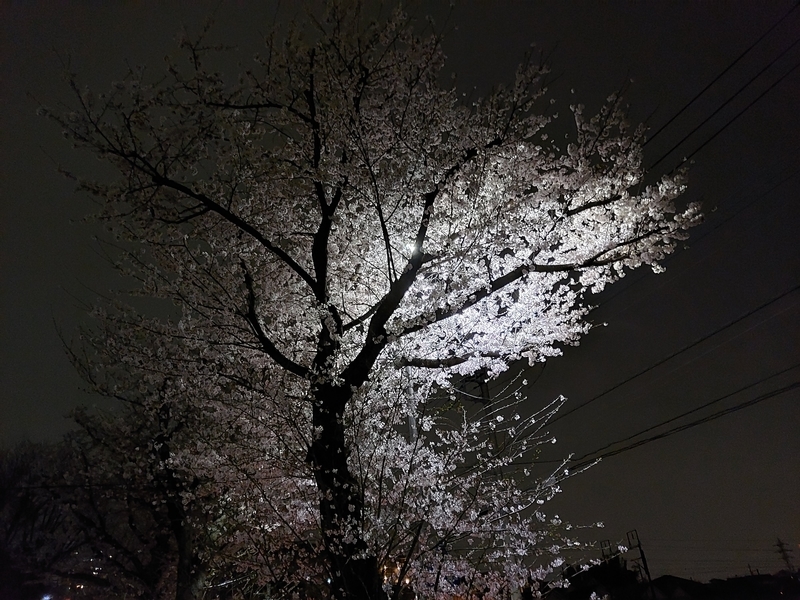 f:id:akane2020:20220331205655j:plain