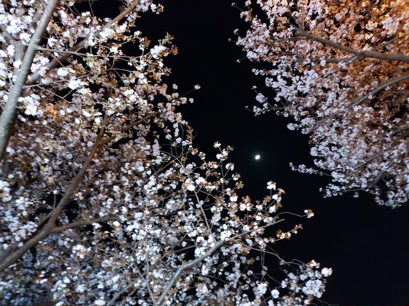 f:id:akane2020:20220408200740j:plain