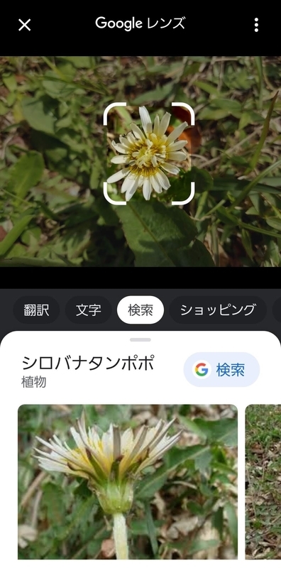 f:id:akane2020:20220409124646j:plain