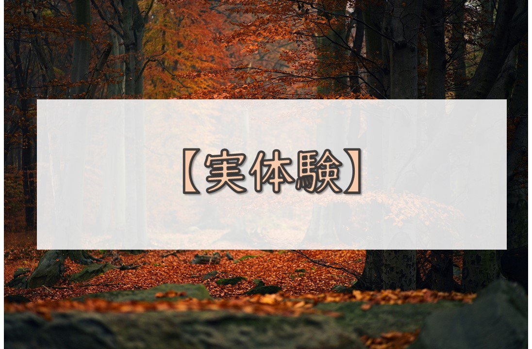 実体験