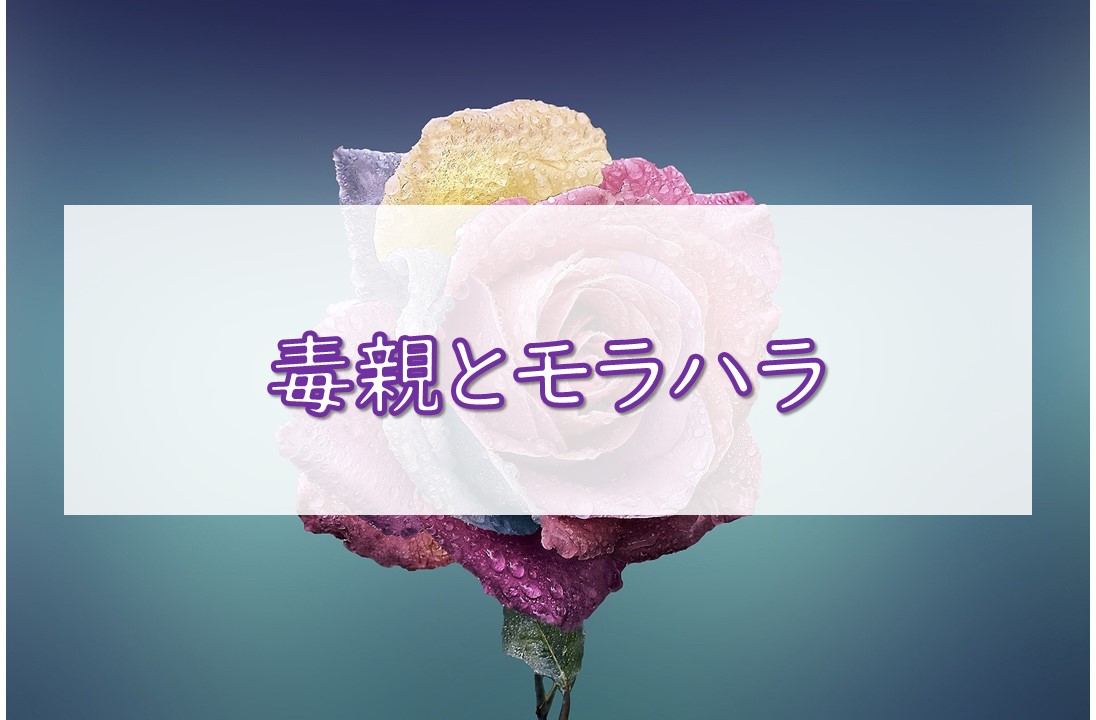 f:id:akane_log:20220101111109j:plain