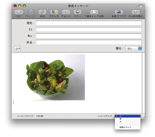 f:id:akane_neko:20090513115834j:image